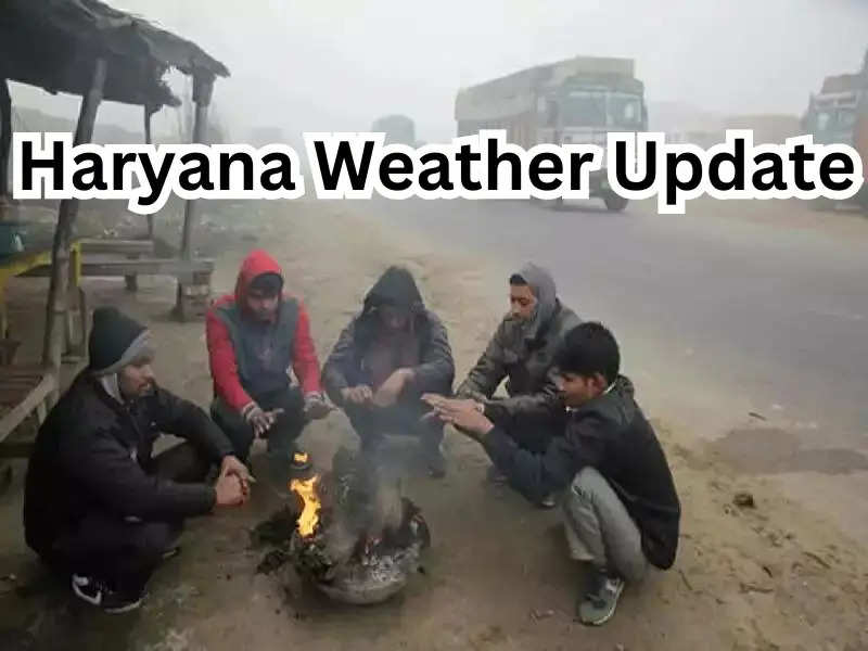  Haryana Weather: शीत लहर से ठंडी हवाओं ने बढ़ाई ठिठुरन