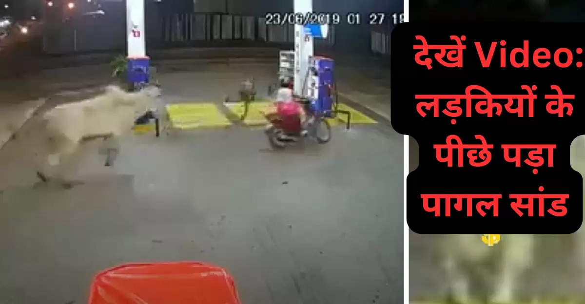  देखें Video: लड़कियों के पीछे पड़ा पागल सांड