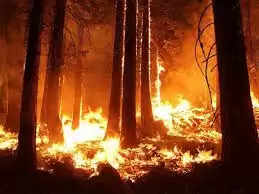 Uttarakhand Forest Fire: बढ़ती गर्मी के साथ जंगल धधकने का सिलसिला जारी, पहाड़ों में 31 स्थानों पर भड़की आग
