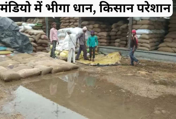 मंडियो में भीगा धान, किसान परेशान