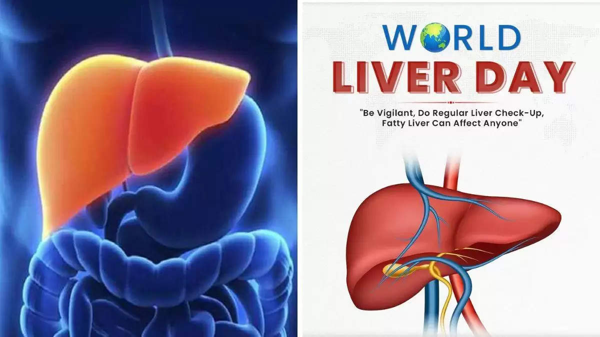 World Liver Day: लिवर के डॉक्टर ने बताया- चाहते हैं हमेशा स्वस्थ रहे लिवर तो आज-अभी से छोड़ दें ये गड़बड़ आदत