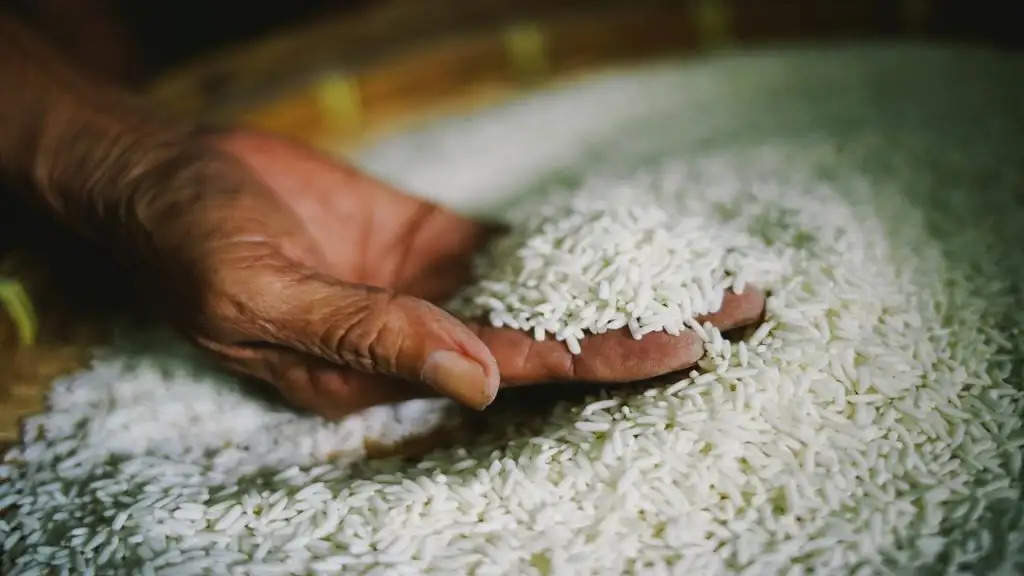 सरकार खुदरा बाजार में 29 रुपये प्रति किलो पर बेचेगी 'भारत चावल'