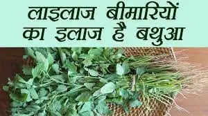 Bathua Saag Benefits