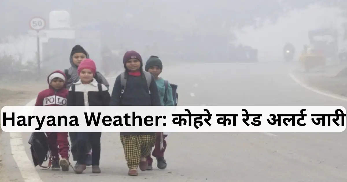 Haryana Weather: कोहरे का रेड अलर्ट जारी