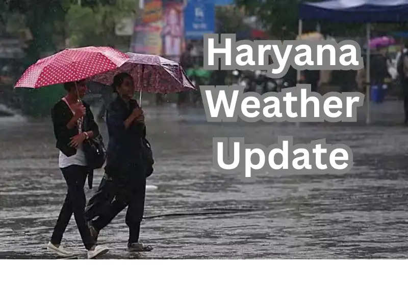  Haryana Weather Today : झमाझम बारिश और ओलावृष्टि से फसलों को नुकसान, 11 जिले ज्यादा प्रभावित